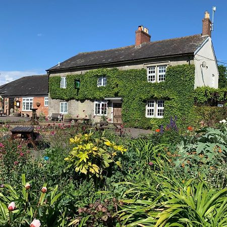 The Coppleridge Inn Motcombe Exterior foto